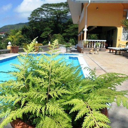 Albizia Lodge Green Estate Pointe Au Sel Dış mekan fotoğraf